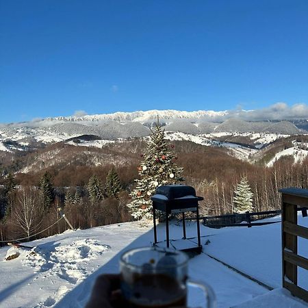 Cabanuta Din Munti Otel Moieciu de Jos Dış mekan fotoğraf