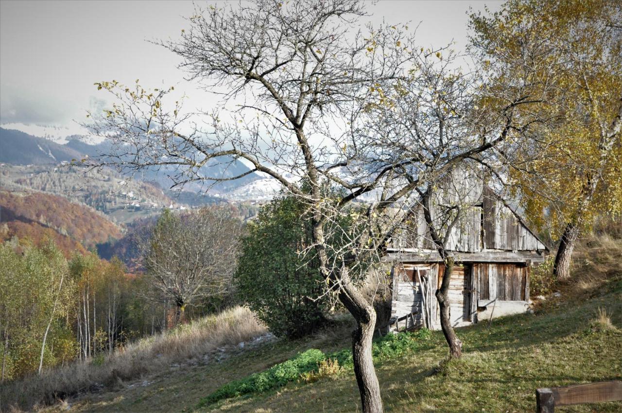 Cabanuta Din Munti Otel Moieciu de Jos Dış mekan fotoğraf