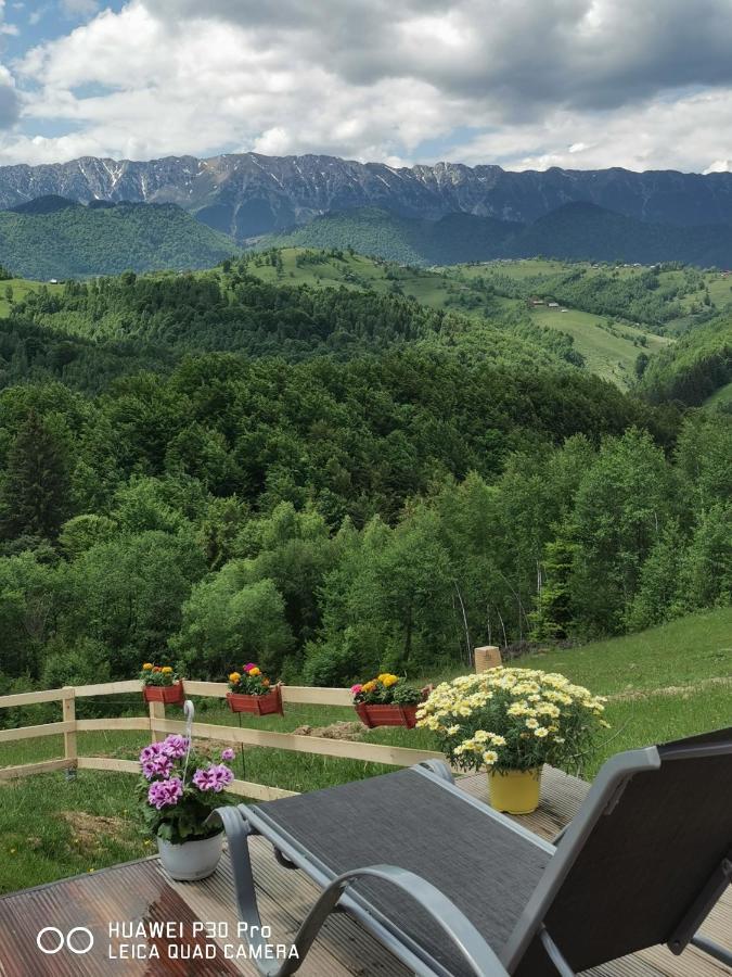 Cabanuta Din Munti Otel Moieciu de Jos Dış mekan fotoğraf