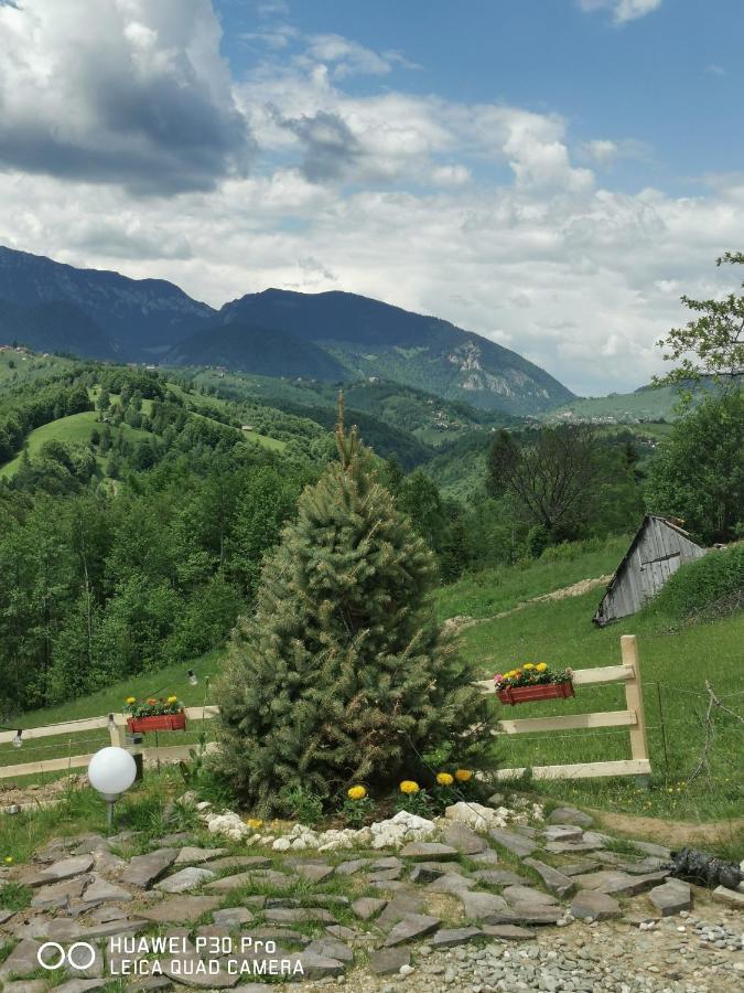 Cabanuta Din Munti Otel Moieciu de Jos Dış mekan fotoğraf