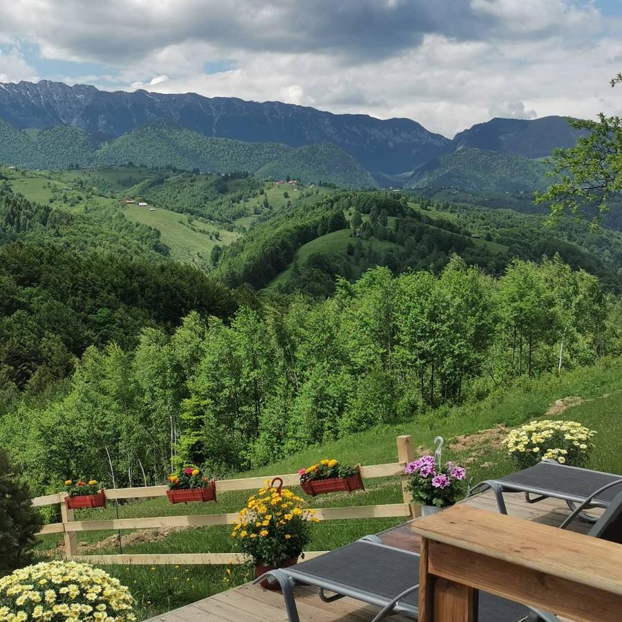 Cabanuta Din Munti Otel Moieciu de Jos Dış mekan fotoğraf