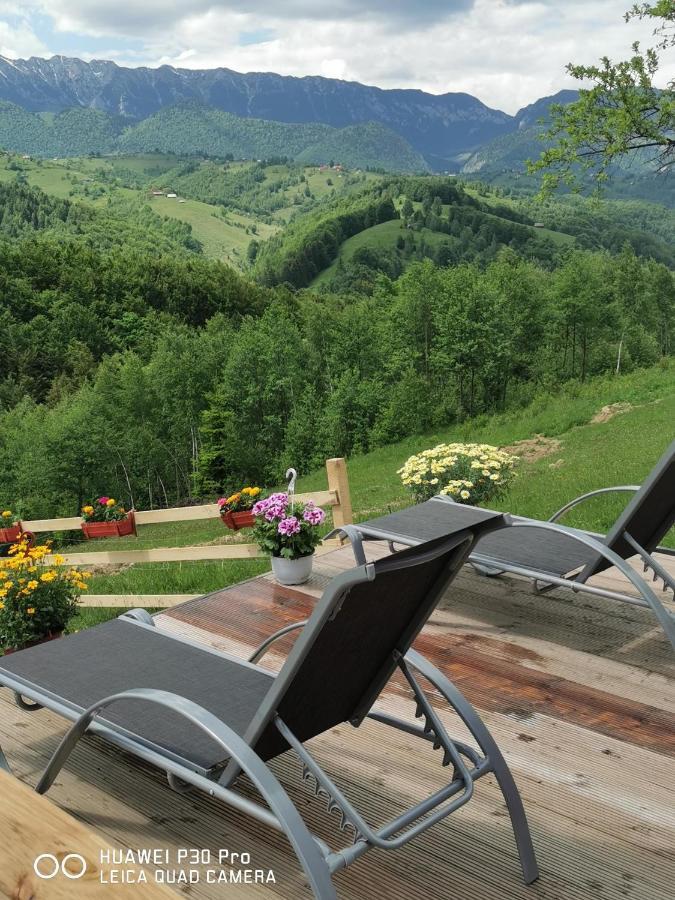 Cabanuta Din Munti Otel Moieciu de Jos Dış mekan fotoğraf