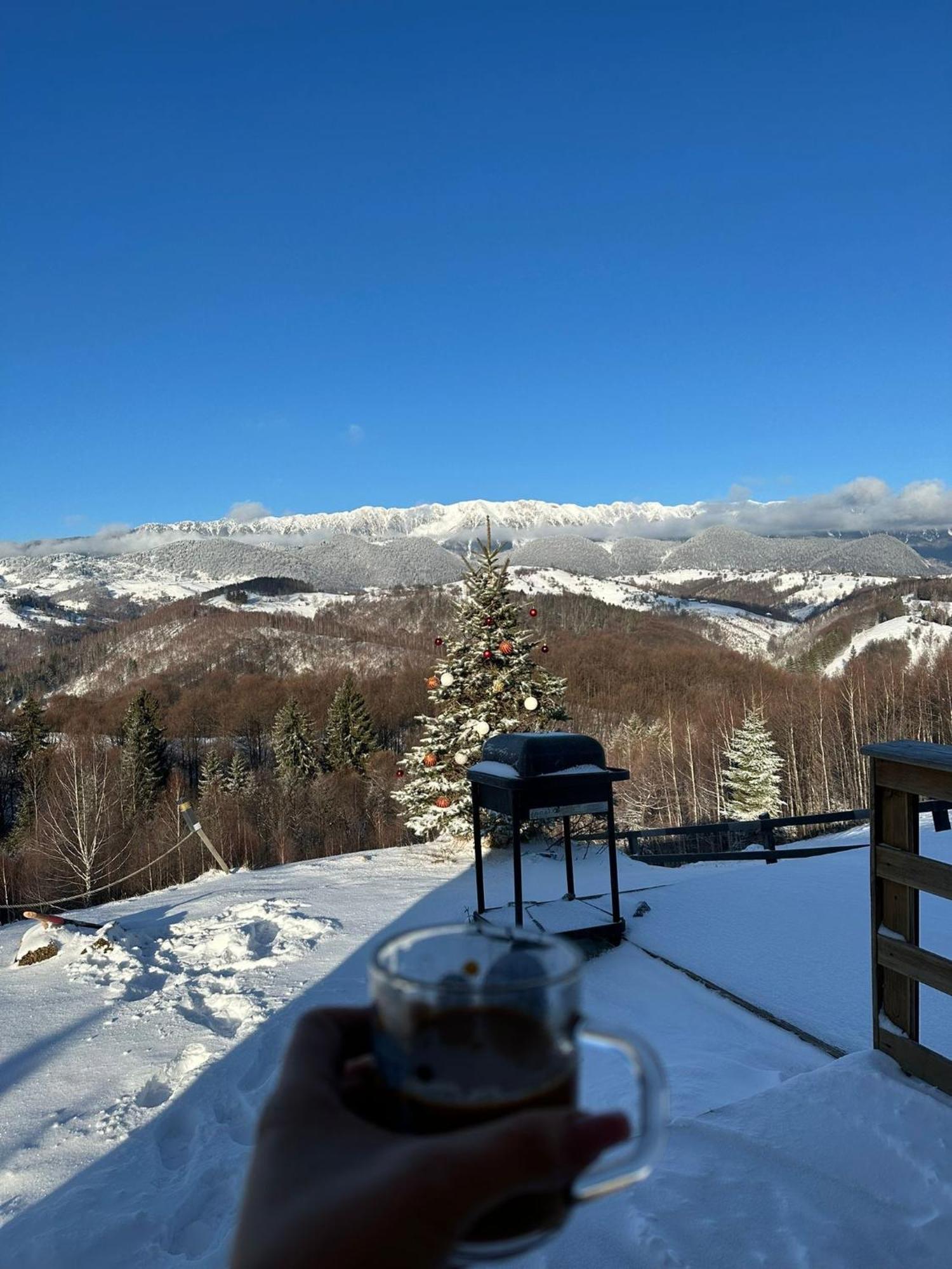 Cabanuta Din Munti Otel Moieciu de Jos Dış mekan fotoğraf