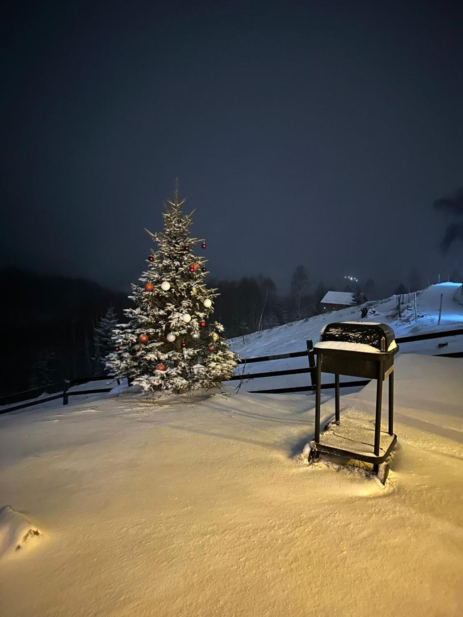Cabanuta Din Munti Otel Moieciu de Jos Dış mekan fotoğraf
