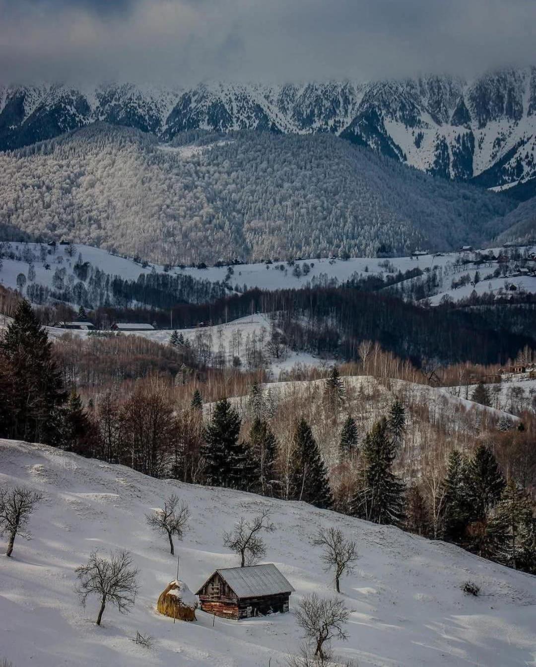 Cabanuta Din Munti Otel Moieciu de Jos Dış mekan fotoğraf